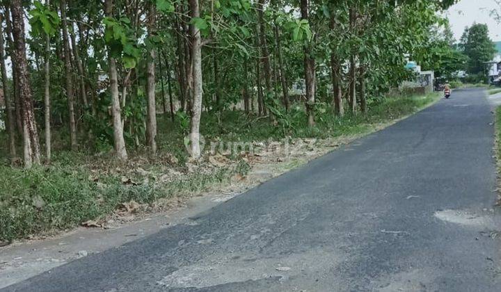 TANAH SUPER ISTIMEWAH DAN MURAH DEKAT KAMPUS UII DI JALAN KALIURANG KM 12 1