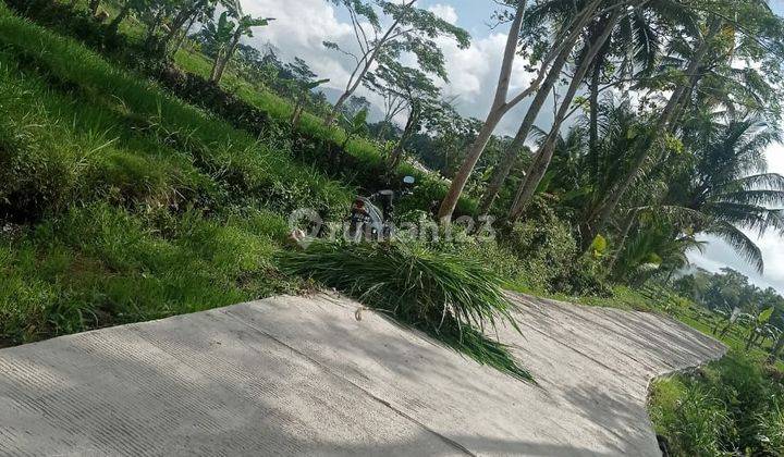 TANAH SUPER MURAH VIEW MERAPI DI WUKISARI  CANGKRINGAN 1