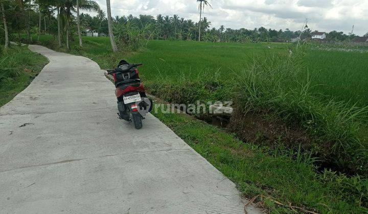 TANAH SUPER MURAH VIEW MERAPI DI WUKISARI  CANGKRINGAN 2