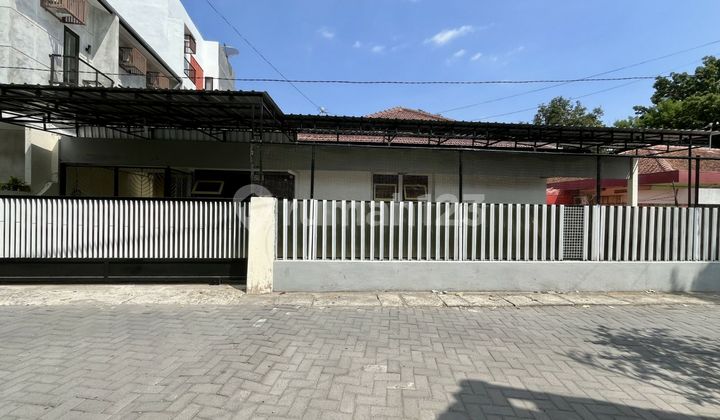 TANAH SUPER ISTIMEWA DAN MURAH DEKAT KAMPUS UNY DAN UGM DI DAERAH SAMIRONO