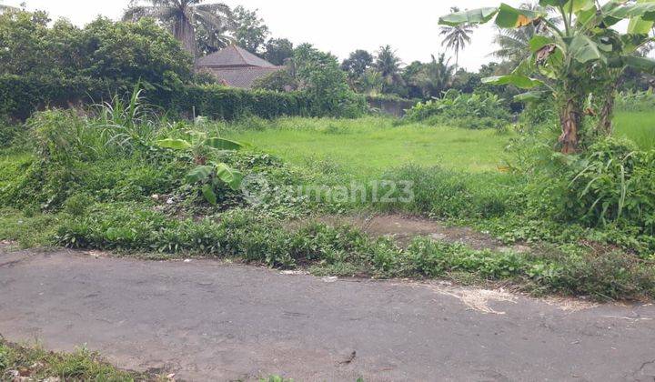 Tanah Super Murah  Dekat Kopi Klotok Di Jalan Kaliurang  Km14 2