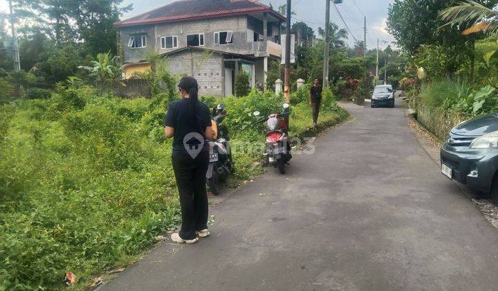 TANAH SUPER MURAH DI JALAN PAKEM TURI 1