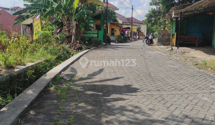 TANAH SUPER MURAH DI NOGOTIRTO 1