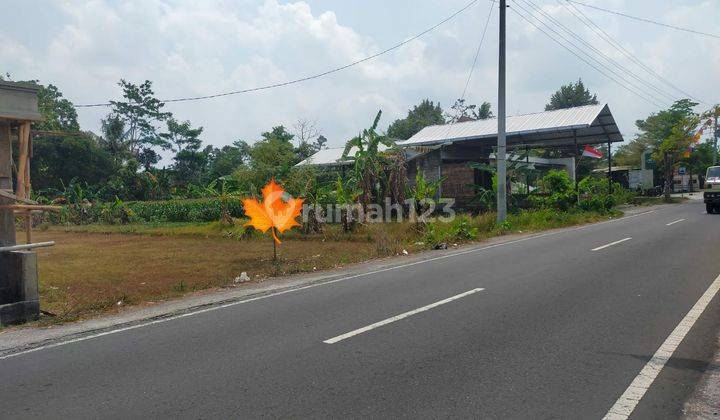 Tanah Super Istimewa Dan Murah Di Palagan Daerah Jongke 2