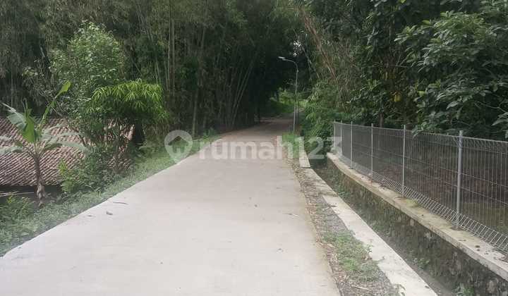 Tanah Bonus Tanaman Buah Di Cangkringan