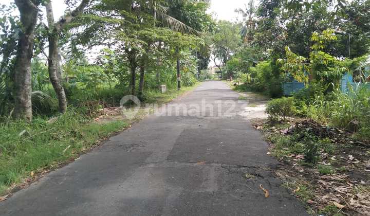 Tanah Super Istimewah Dan Murah Dekat Kampus Uii Di Jalan Kaliurang Km 12