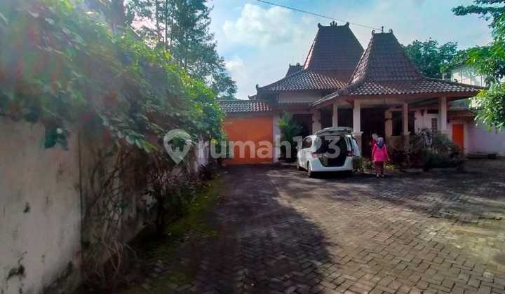 Rumah Etnik Joglo Asri Dan Nyaman Di Jalan Kaliurang Km 7,5