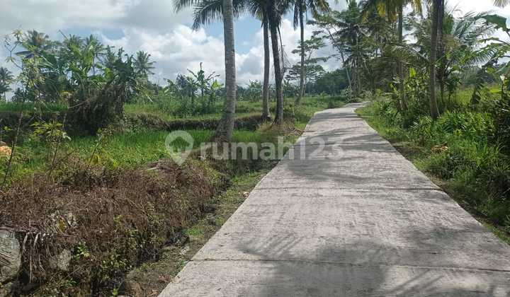 Tanah Super Istimewa View Merapi Di Cangkringan