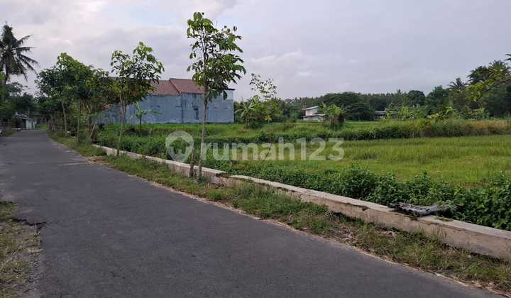 Tanah Super Istimewa Dan Murah Di Pakem Tanah Super Istimewa Dan Murah Di Pakem