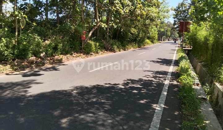 Super Cheap Land In Borobudur Super Cheap Land In Borobudur