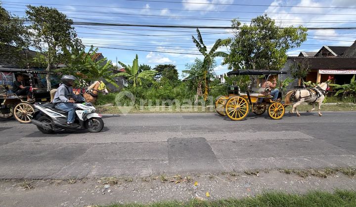 Tanah Pekarangan Super Istimewa di Tegal Tirto Berbah