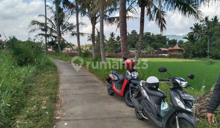 Super Cheap Land In Borobudur Super Cheap Land In Borobudur