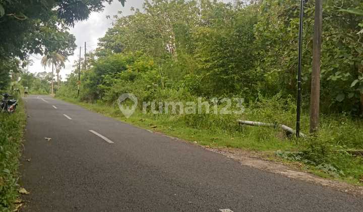 Tanah Super Murah di Wonosari