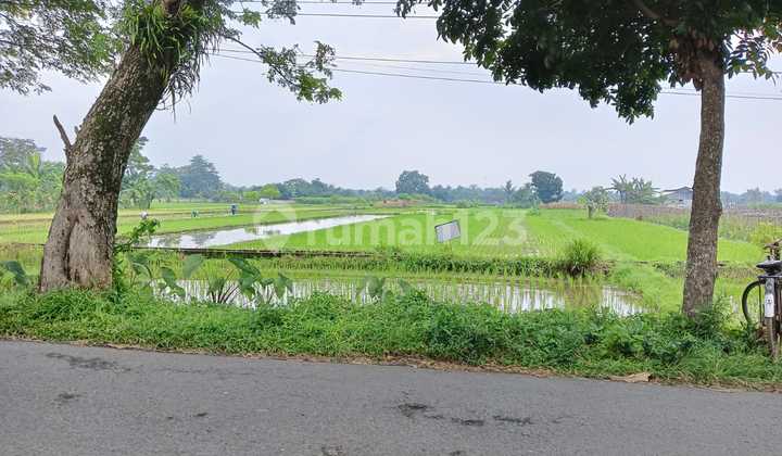Tanah Super Murah Selatan Pemda Sleman Kampung Flory