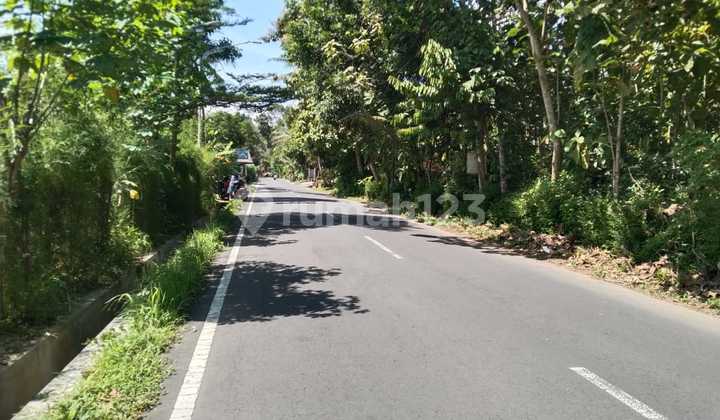 Super Cheap Land In Borobudur Super Cheap Land In Borobudur