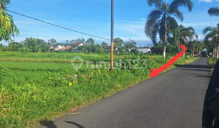Very Cheap Land on Kaliurang Street Km 10 Very Cheap Land on Kaliurang Street Km 10