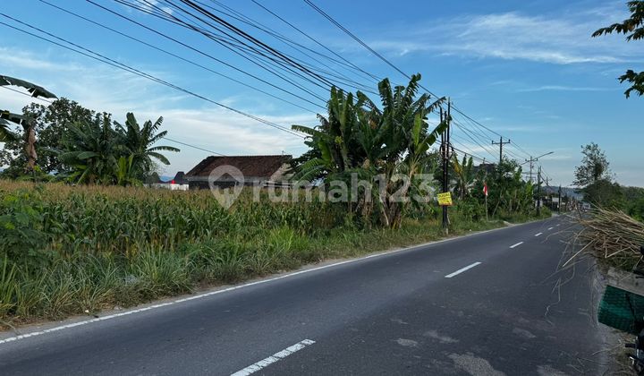 Tanah Super Istimewa di Jalan Manisrenggo Tanah Super Istimewa di Jalan Manisrenggo