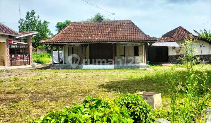 Tanah Super Murah di Tlogoadi Mlati Tanah Super Murah di Tlogoadi Mlati