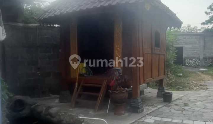 Rumah Etnik View Pedesaan Di Turi 2
