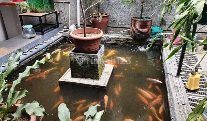 Rumah Tubagus Ismail. Bagus Dan Siap Huni 2