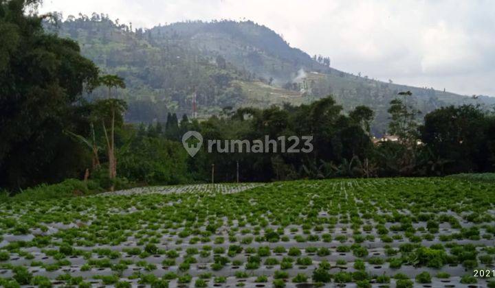 Kavling di Lembang, Bandung Barat 4.000m² SHM  2