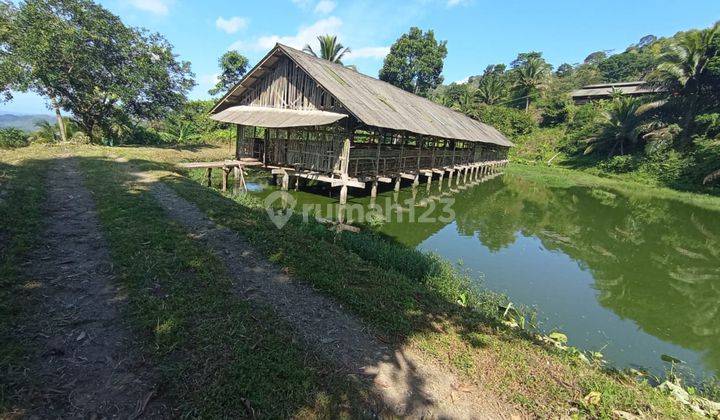 Villa Lahan di Pangandaran, Ciamis SHM 12,5 Ha 2