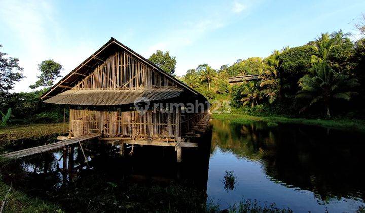 Villa Lahan di Pangandaran, Ciamis SHM 12,5 Ha 1