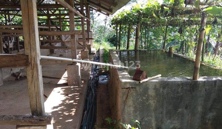 Lahan Ex Kandang Sapi,Bisa Perluasan Sampe 5Ha 2