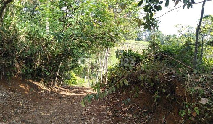Lahan Ex Kandang Sapi,Bisa Perluasan Sampe 5Ha 5