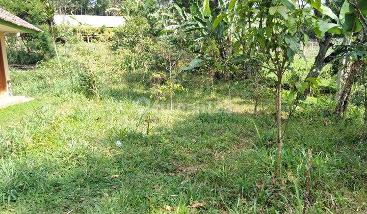 Lahan Ex Kandang Sapi,Bisa Perluasan Sampe 5Ha 8