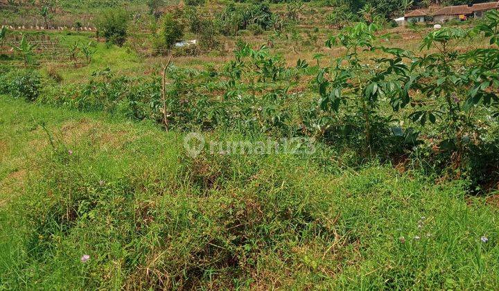 Lahan Ex Kandang Sapi,Bisa Perluasan Sampe 5Ha 10