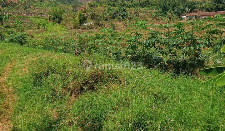Lahan Ex Kandang Sapi,Bisa Perluasan Sampe 5Ha 11