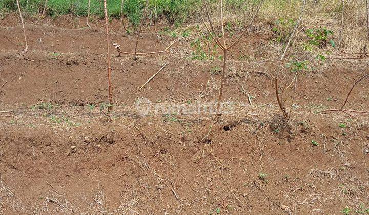 Tanah Kebon 17 Ha Ciwidey Pasir Jambu Kabupaten Bandung  2