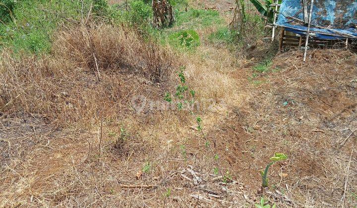 Tanah Kebon 17 Ha Ciwidey Pasir Jambu Kabupaten Bandung  3