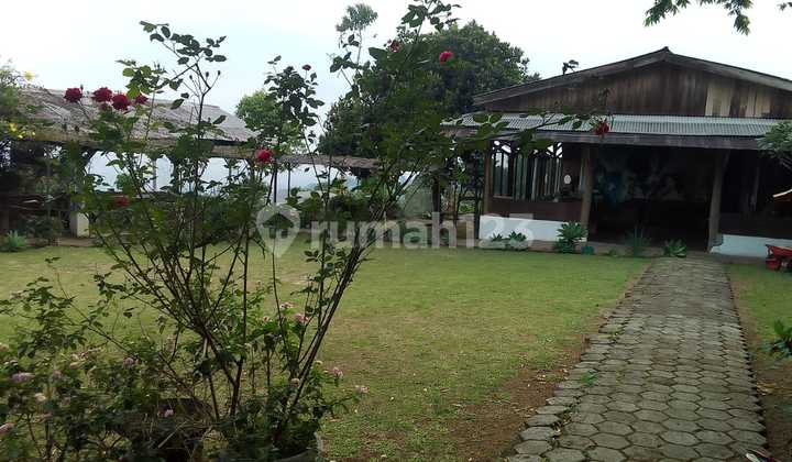 Dijual Tanah Bonus Tempat Usahanya Lagi Berjalan