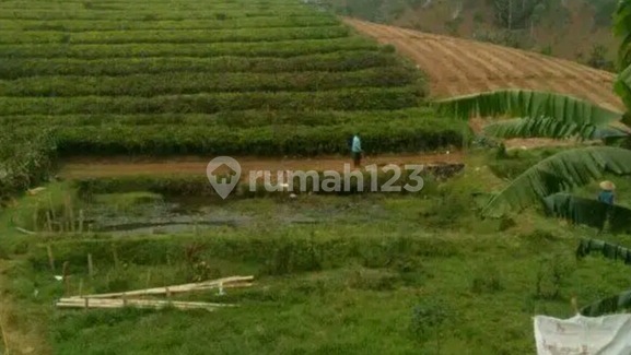 Agrowisata Tanah Pangalengan Lokasi Strategis Maenroad Pangalengan kab Bandung 1