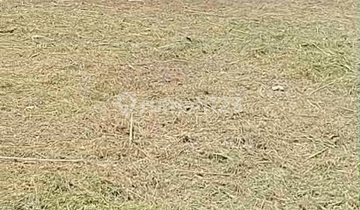 Dijual Tanah Kotak Murah di Riung Bandung SHM Dijual Tanah Kotak Murah di Riung Bandung SHM