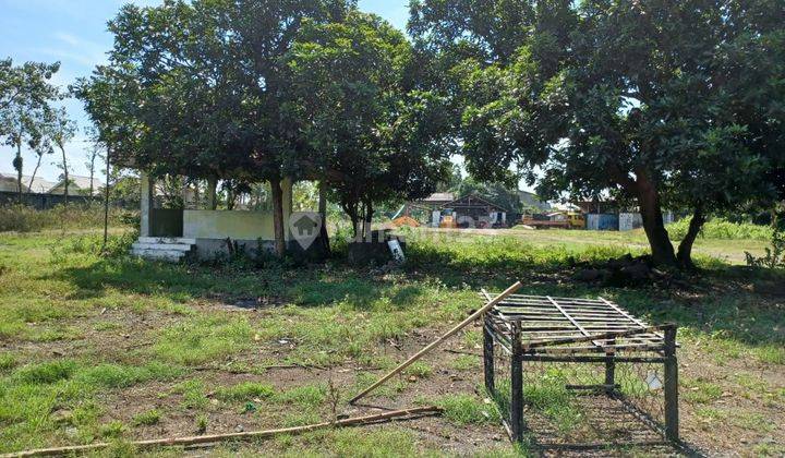 Dijual Tanah Di Poros Jalan Raya Surabaya Situbondo  1
