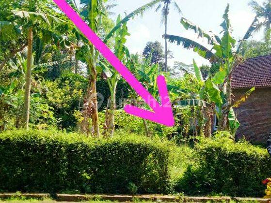 Dijual Tanah di Poros Jalan Pedesaan di Sumber Pucung Malang 1