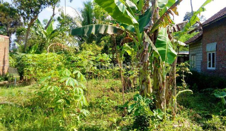 Dijual Tanah Murah Siap Bangun di Jalan Kebonsari, Desa Ngebruk, Sumberpucung Malang 1
