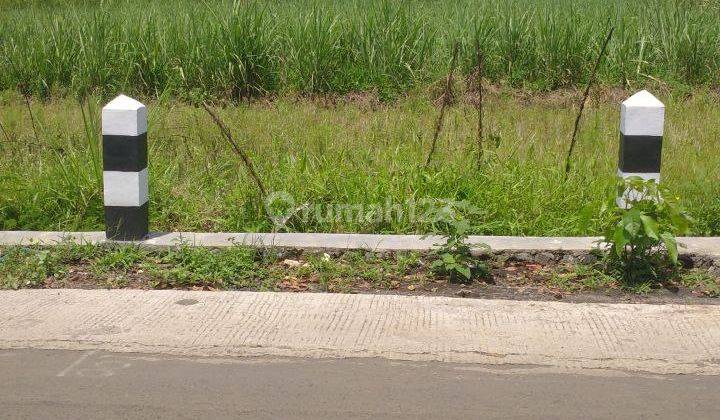 Dijual Tanah di Karangpandan Pakisaji 1