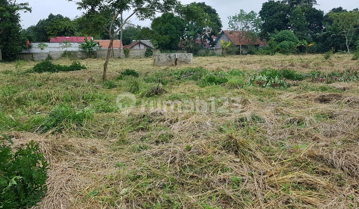 Tanah/Kavling Komersil Cisauk Tangerang Tanah/Kavling Komersil Cisauk Tangerang