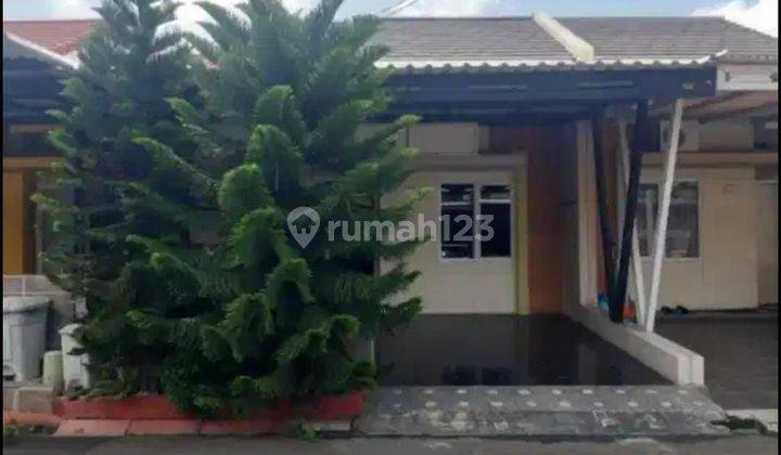 Rumah Murah Paradise Serpong City Tangerang Selatan  1