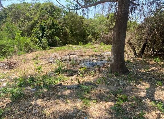 Tanah Siap Bangun Dekat Pandawa Beach