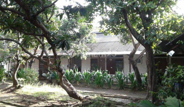 Dijual dan Disewakan Cepat Ex Pabrik Kain Lokasi Batu Ceper Tangerang 2