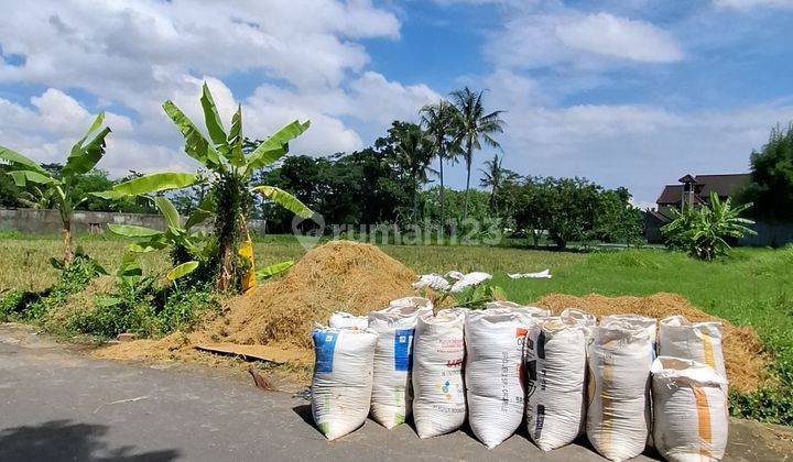 Tanah tepi jalan view sawah asri, dekat UII 1