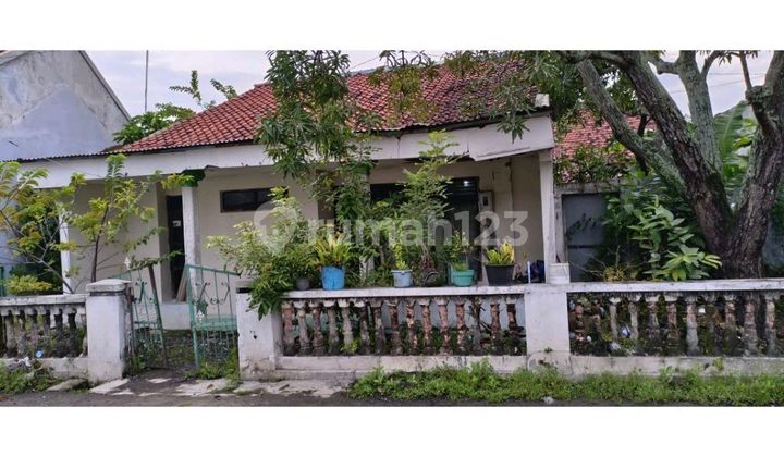 Tanah, Dekat Mall, Cocok Untuk Dibangun Kos Tanah, Dekat Mall, Cocok Untuk Dibangun Kos