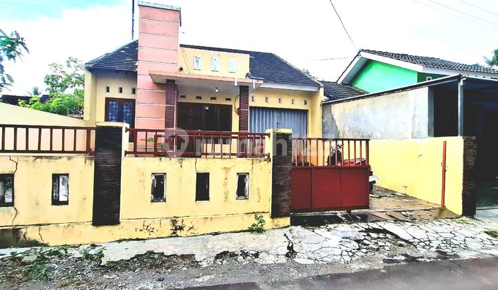 Minimalist House, Lush Back Garden Near Market