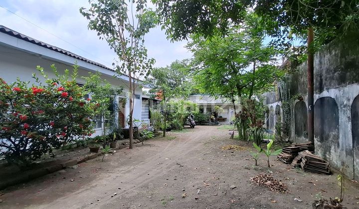 Tanah Bonus.rumah Etnik, 10 Menit Dari Ugm