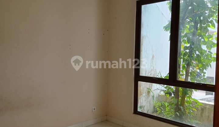 Rumah Sewa Murah di Cluster Bsd 6